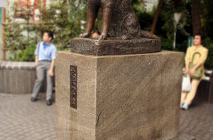 Thumbnail of post image 113