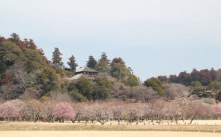 Thumbnail of post image 019
